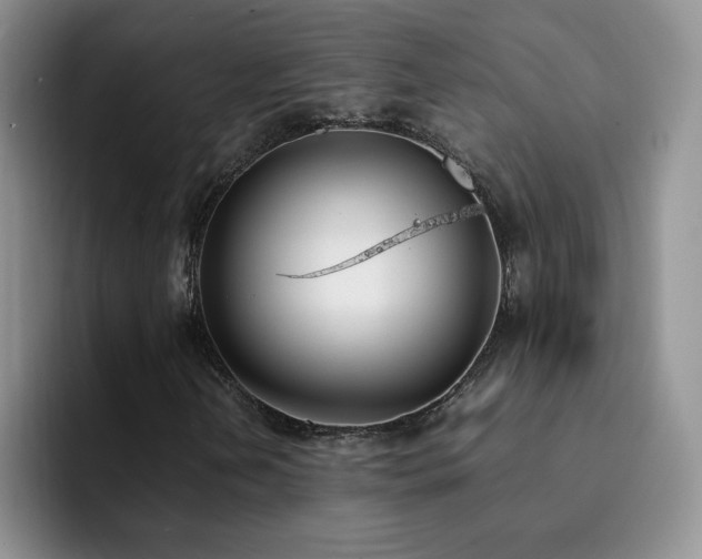 X0000092241202200709141117