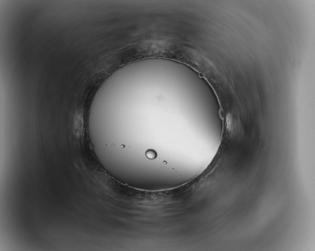 X0000092241203200709141117