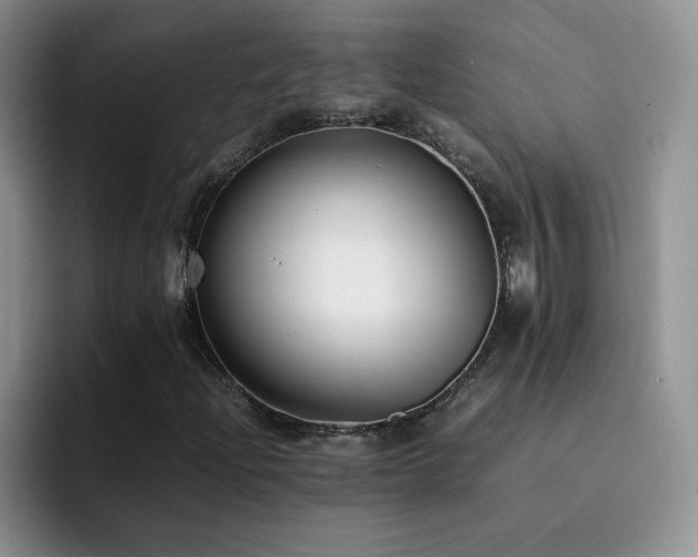 X0000092241204200709141117