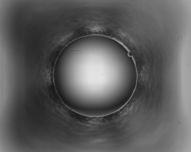 X0000092241205200709141117