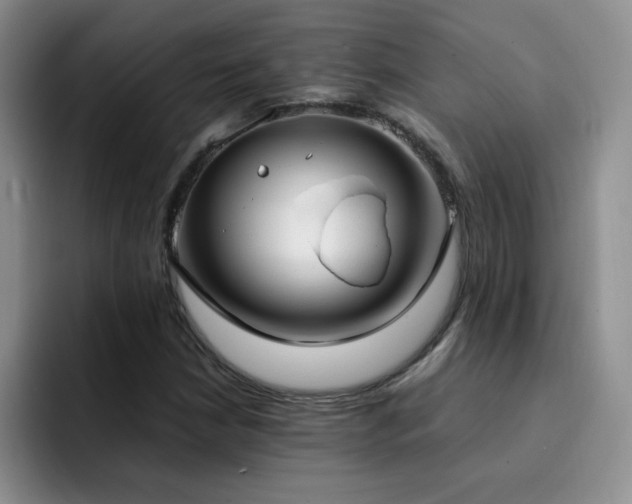 X0000092241210200709141117