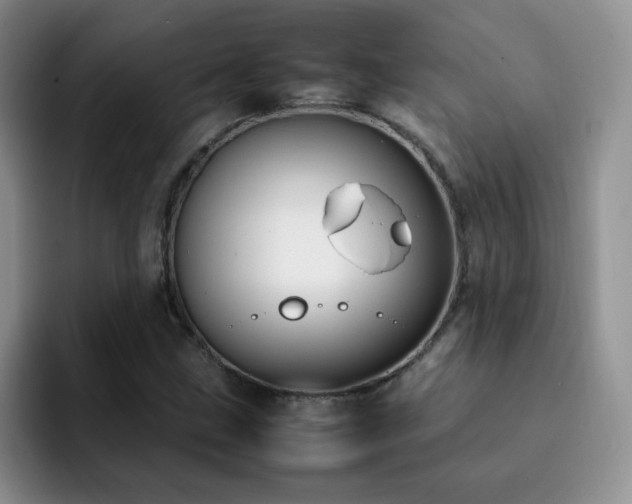 X0000092241211200709141117