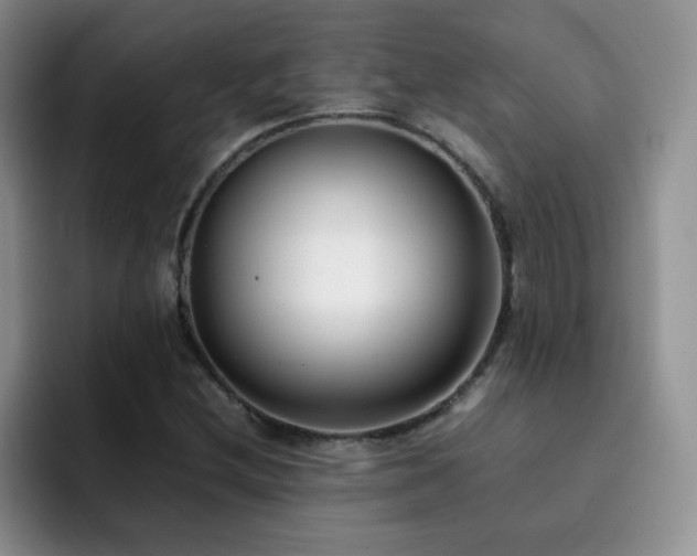 X0000092241212200709141117