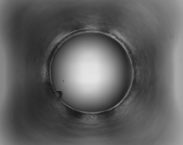 X0000092241215200709141117