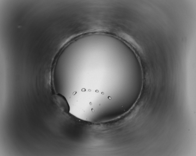 X0000092241220200709141117
