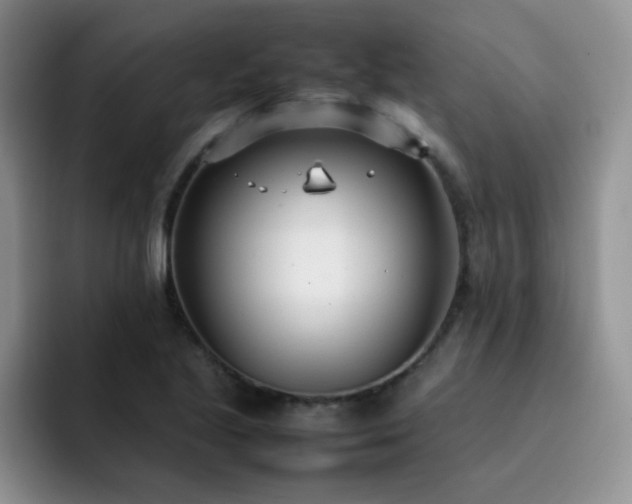 X0000092241221200709141117