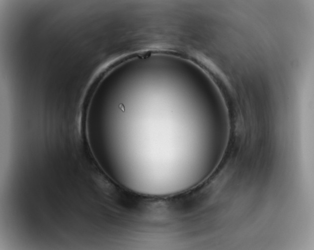 X0000092241222200709141117