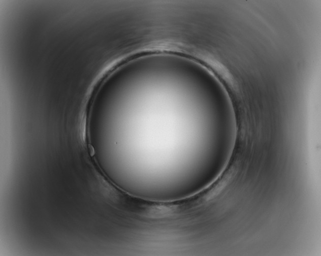 X0000092241224200709141118