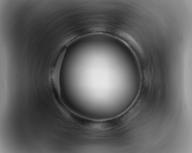 X0000092241225200709141118