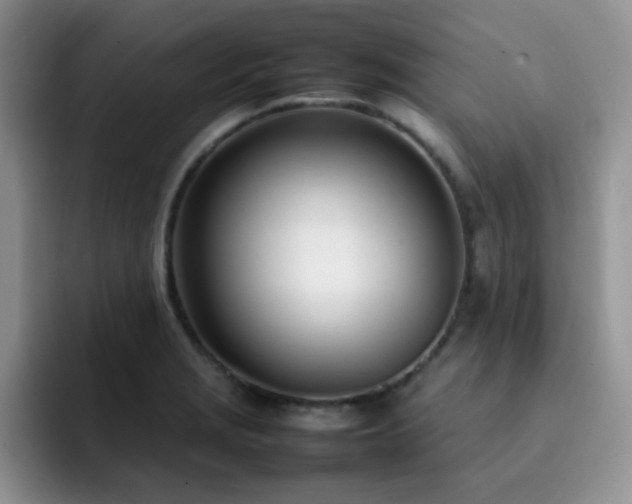 X0000092241229200709141118