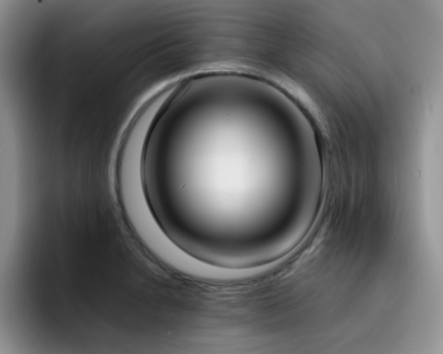 X0000092241230200709141118