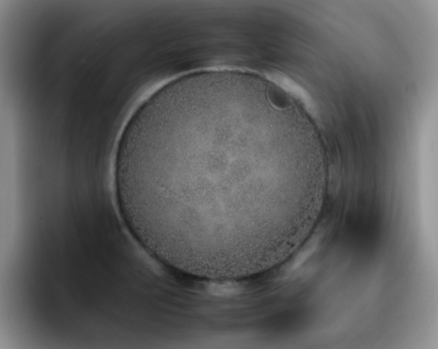 X0000092241231200709141118
