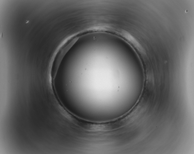X0000092241232200709141118