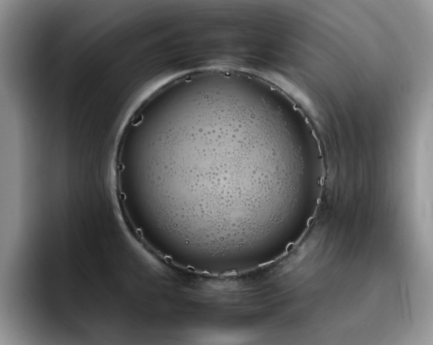 X0000092241239200709141118