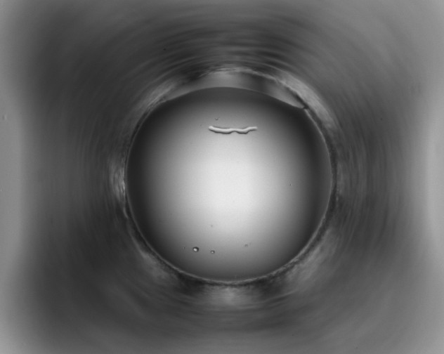 X0000092241241200709141118