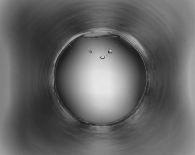 X0000092241244200709141118
