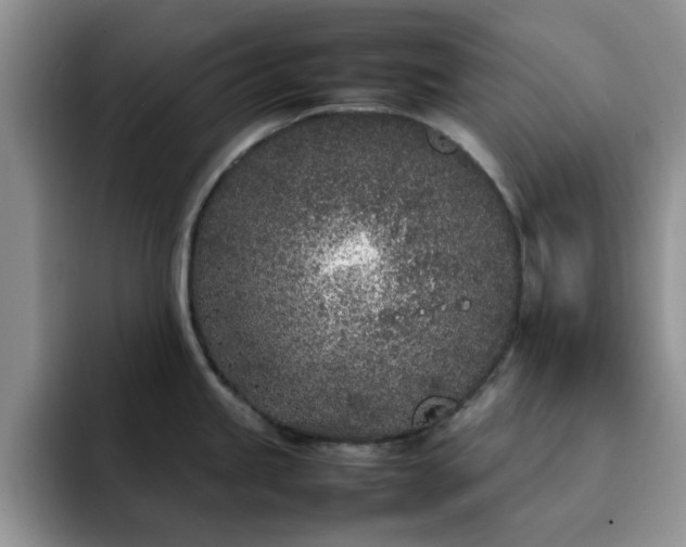 X0000092241245200709141118