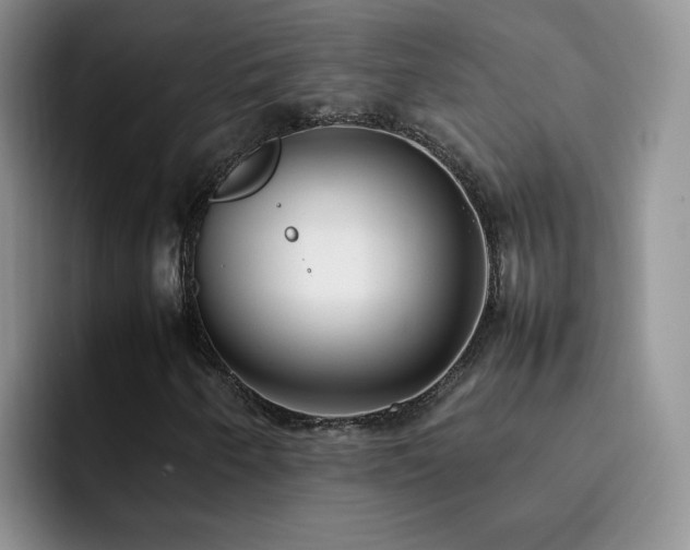 X0000092241250200709141117