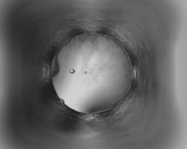 X0000092241251200709141117