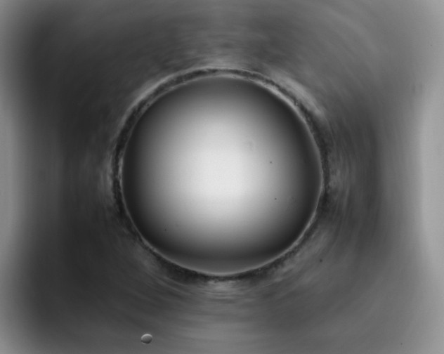 X0000092241264200709141117