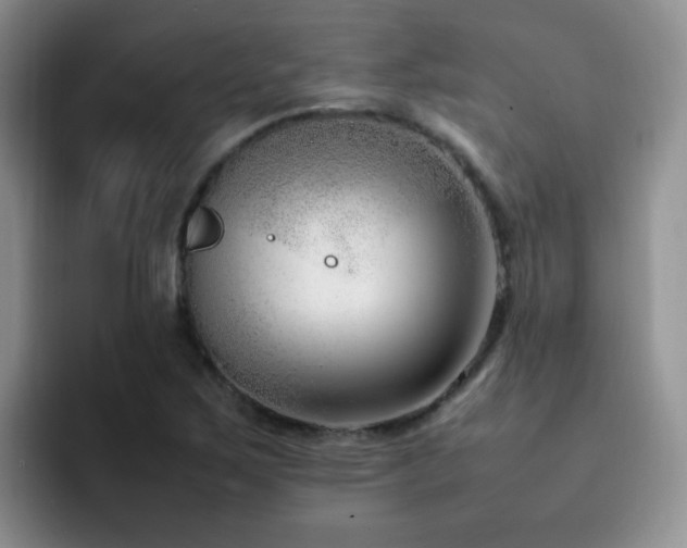 X0000092241267200709141117