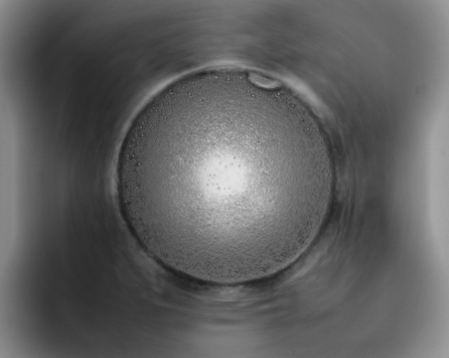 X0000092241279200709141117
