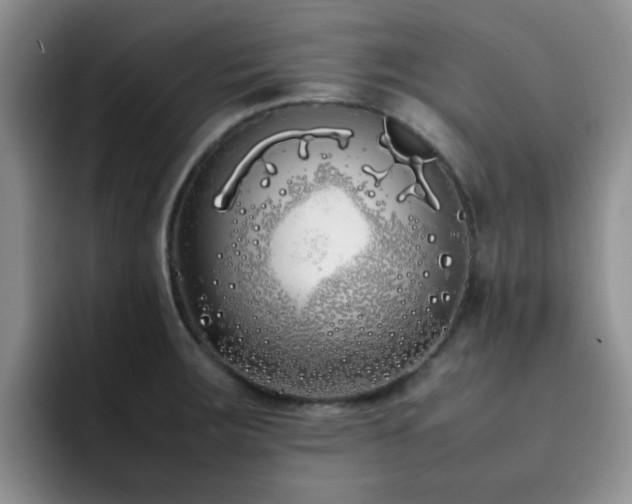 X0000092241283200709141117