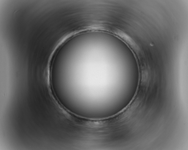 X0000092241286200709141117