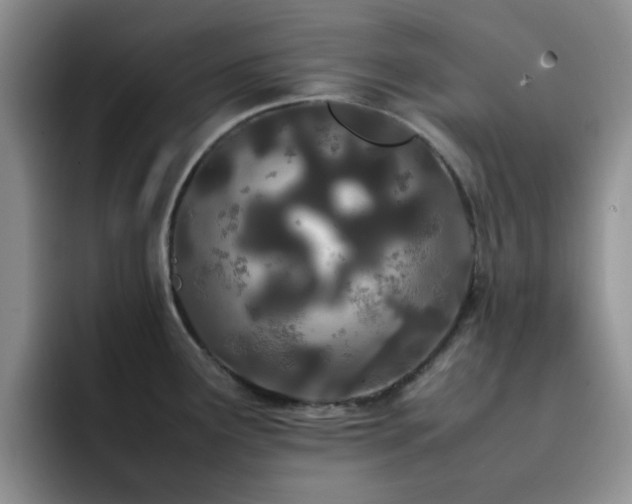 X0000092241291200709141117