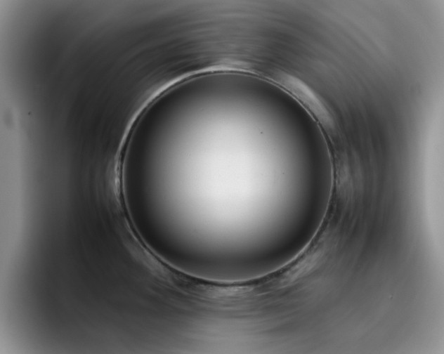 X0000092241292200709141117