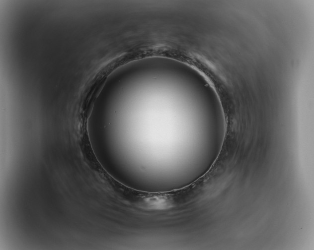 X0000092241303200709141116