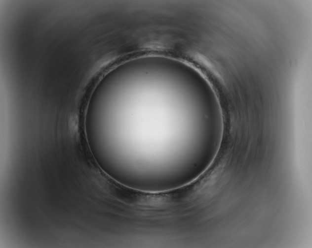 X0000092241307200709141116
