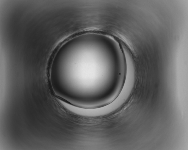 X0000092241308200709141116