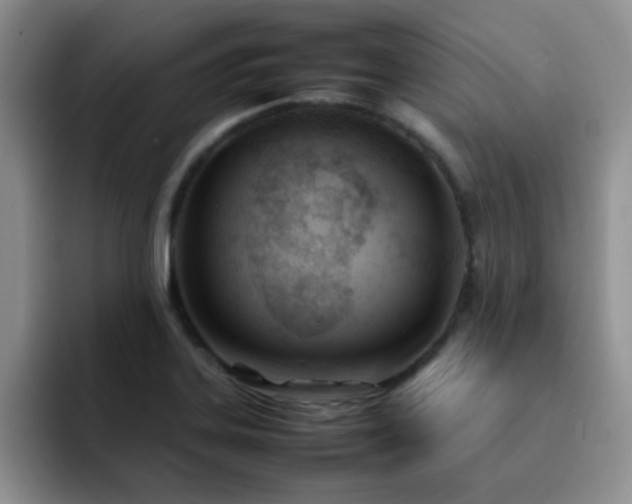 X0000092241323200709141116
