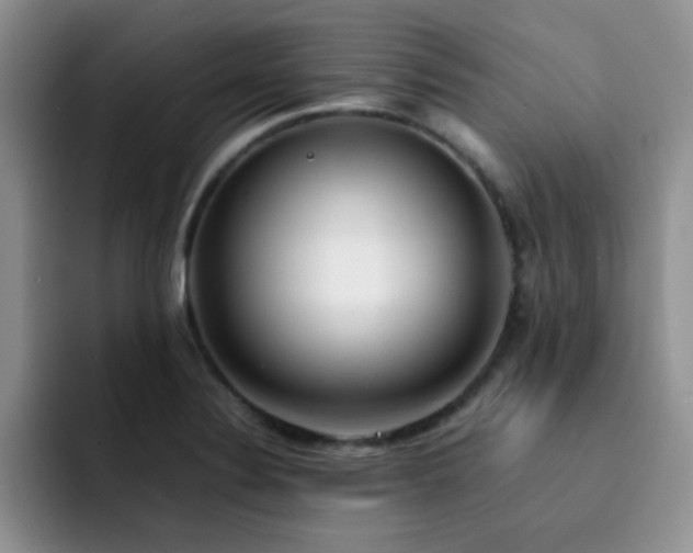 X0000092241324200709141116