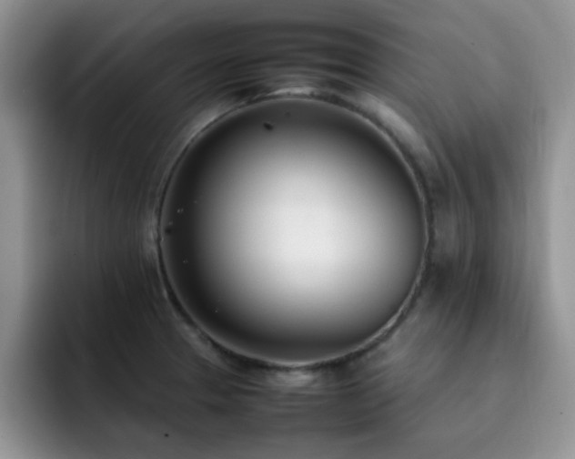 X0000092241329200709141116