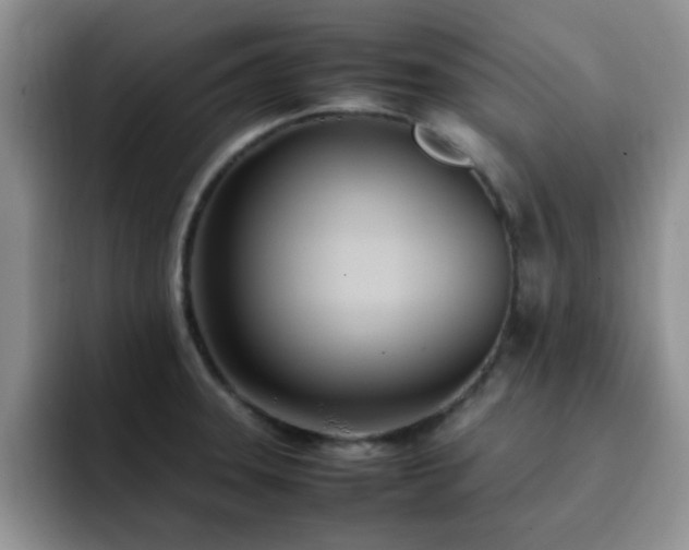 X0000092241331200709141117