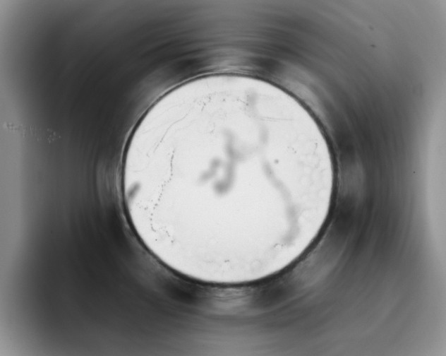 X0000092241338200709141117
