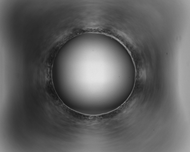 X0000092241350200709141116