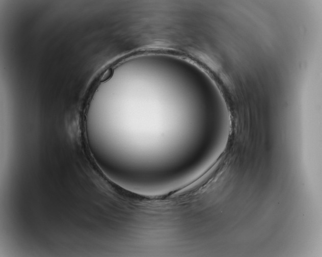 X0000092241356200709141116