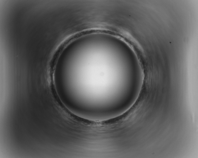 X0000092241360200709141116