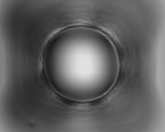 X0000092241363200709141116