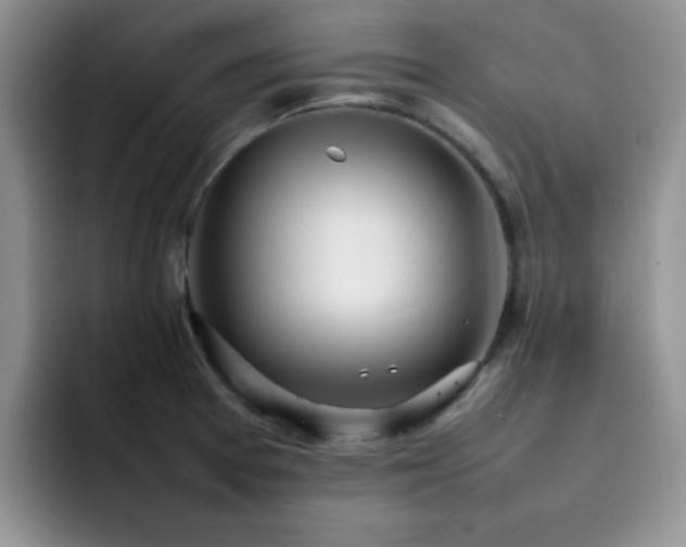X0000092241377200709141116