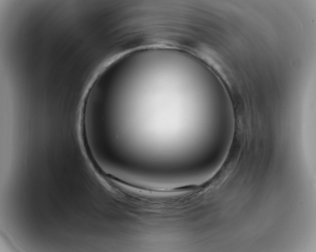 X0000092241379200709141116