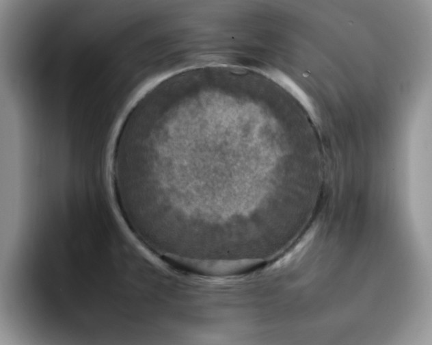 X0000092241381200709141116
