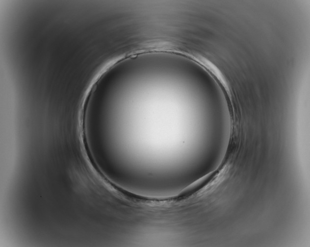 X0000092241389200709141116