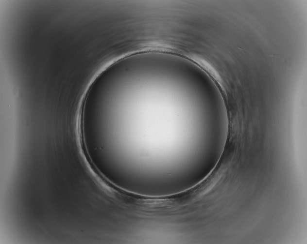 X0000092241391200709141116