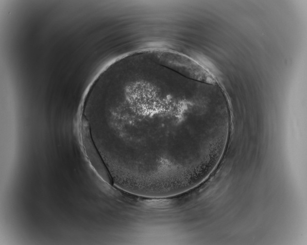 X0000092241392200709141116