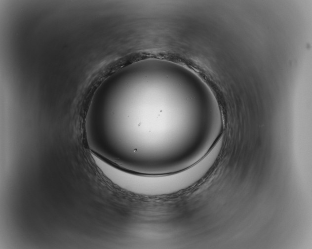 X0000092241398200709141115