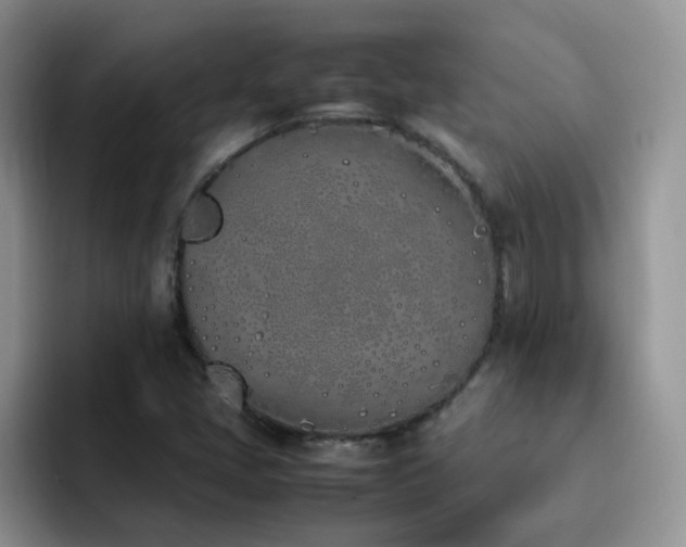 X0000092241405200709141115